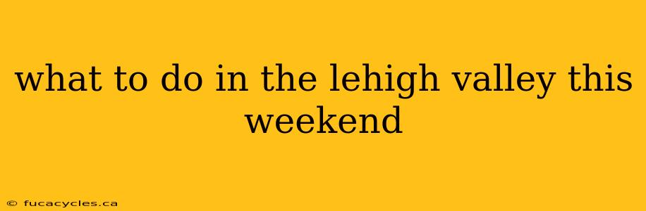 what to do in the lehigh valley this weekend