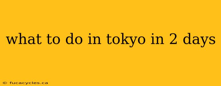 what to do in tokyo in 2 days