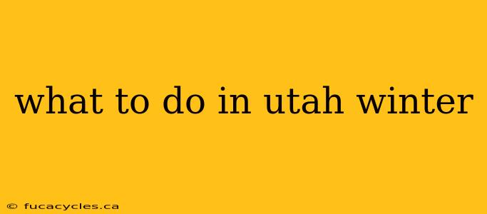 what to do in utah winter