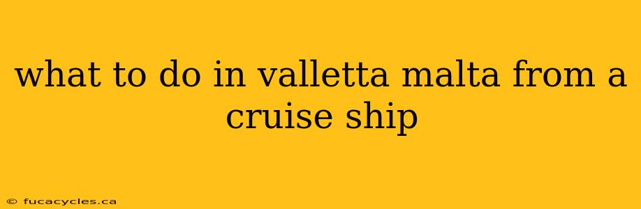 what to do in valletta malta from a cruise ship