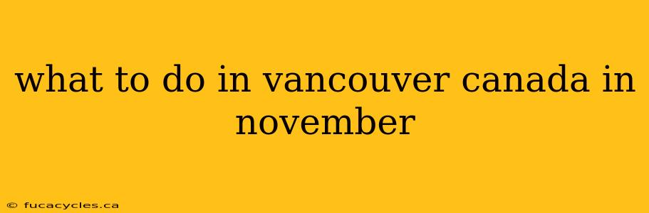 what to do in vancouver canada in november