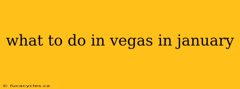 what to do in vegas in january