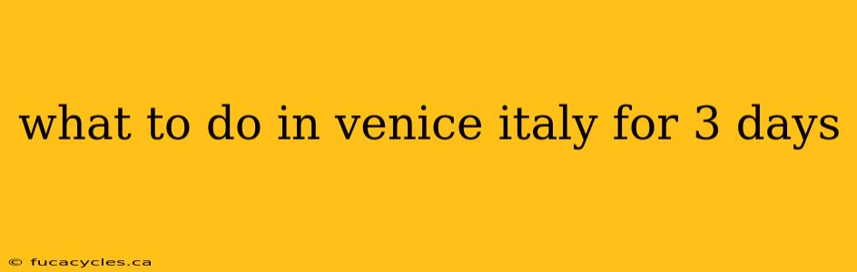 what to do in venice italy for 3 days