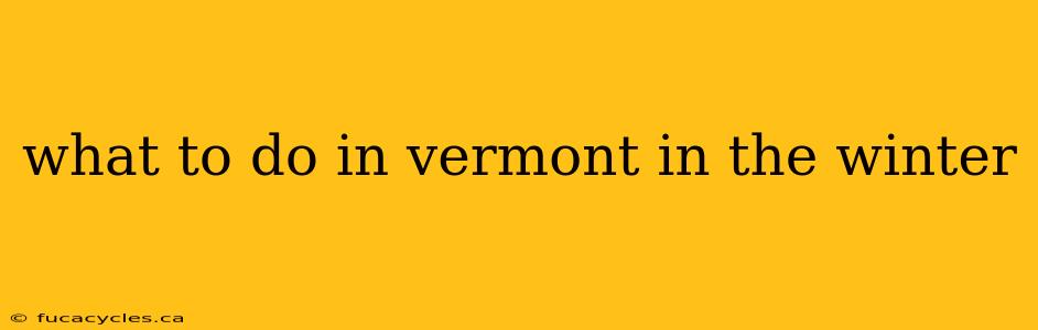 what to do in vermont in the winter