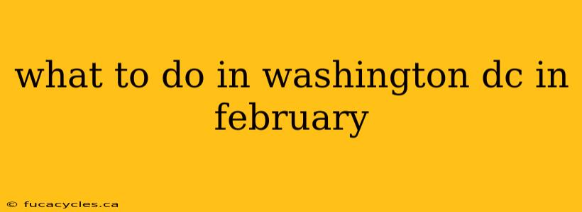 what to do in washington dc in february