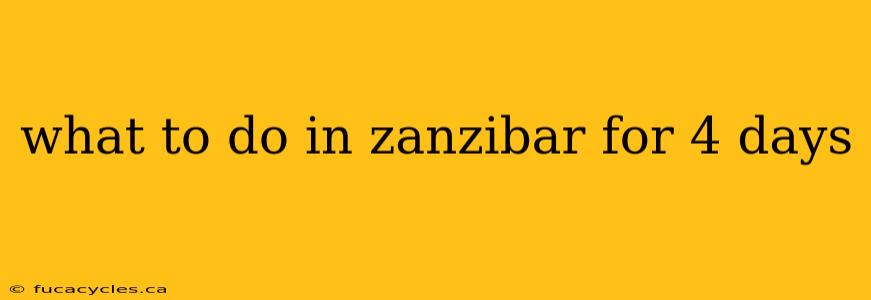 what to do in zanzibar for 4 days