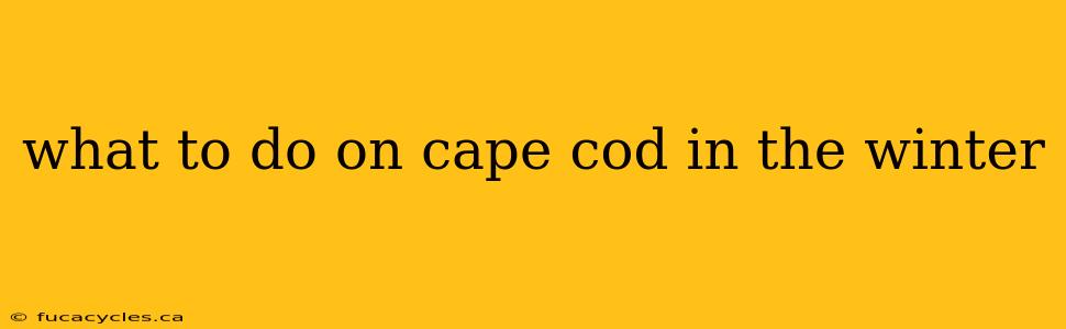 what to do on cape cod in the winter