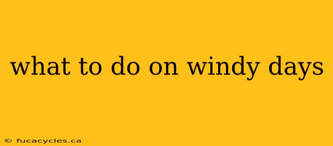 what to do on windy days