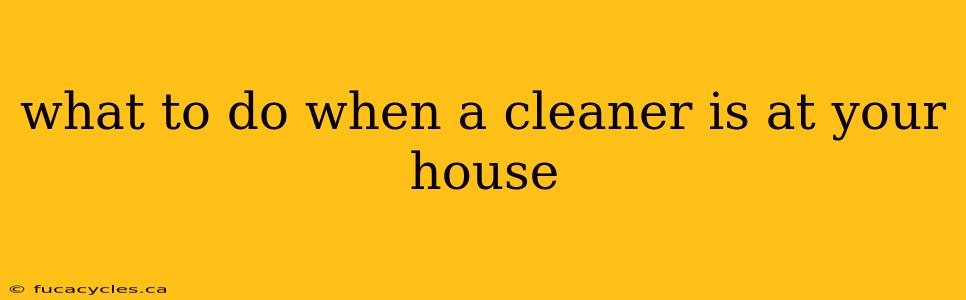 what to do when a cleaner is at your house