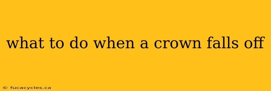 what to do when a crown falls off