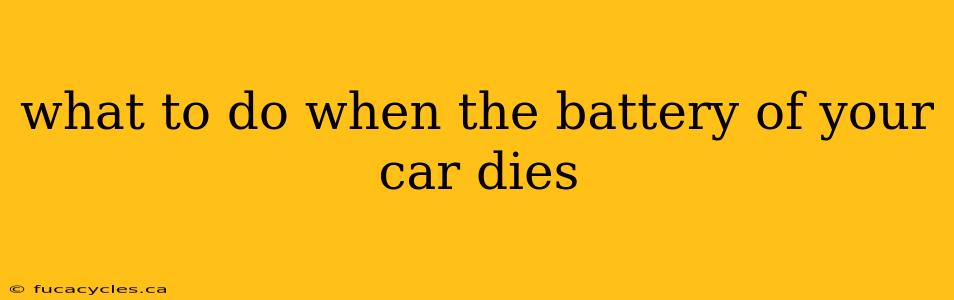 what to do when the battery of your car dies