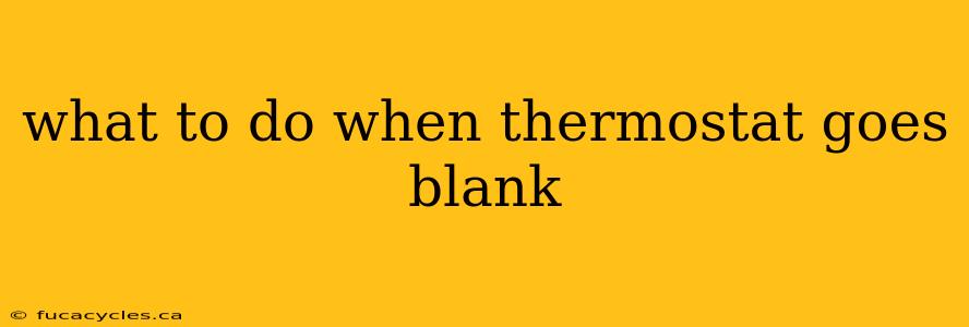 what to do when thermostat goes blank