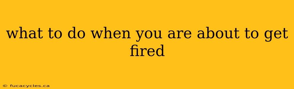 what to do when you are about to get fired