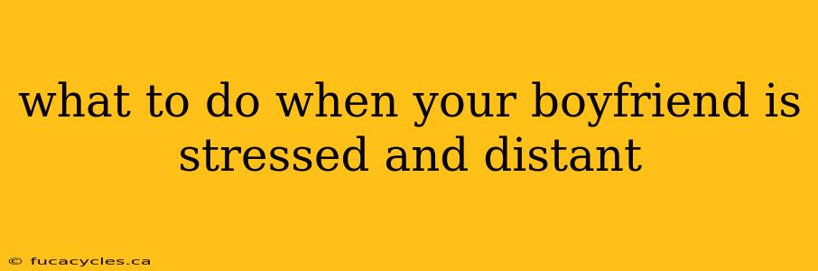 what to do when your boyfriend is stressed and distant