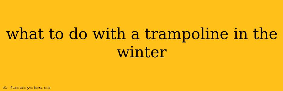 what to do with a trampoline in the winter