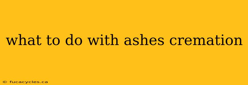 what to do with ashes cremation