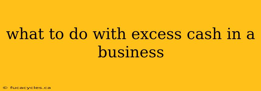 what to do with excess cash in a business