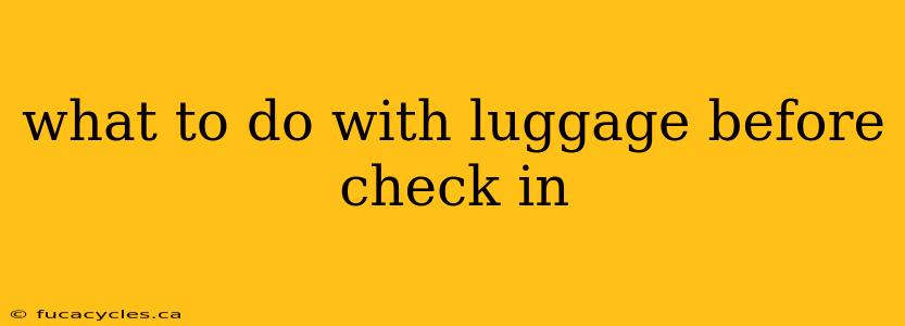 what to do with luggage before check in