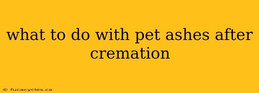 what to do with pet ashes after cremation