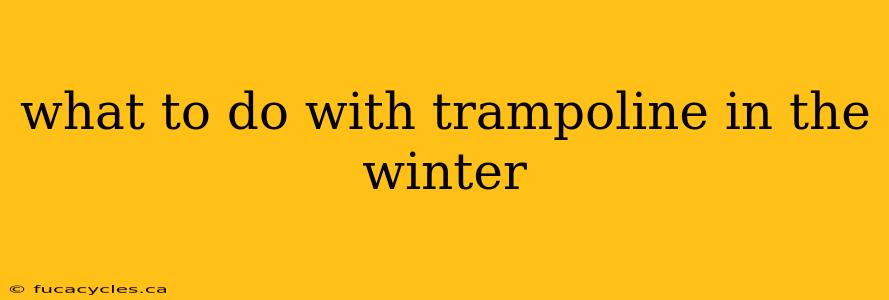 what to do with trampoline in the winter