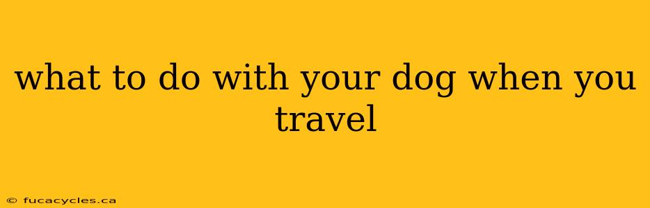 what to do with your dog when you travel