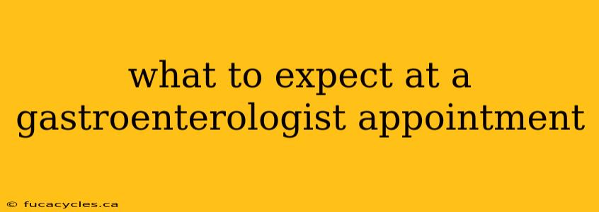 what to expect at a gastroenterologist appointment