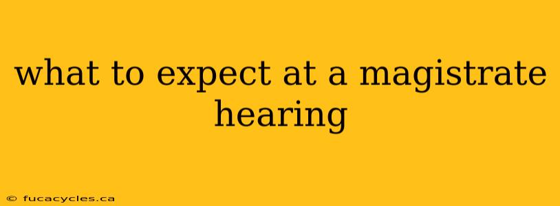 what to expect at a magistrate hearing