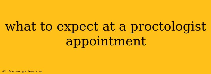 what to expect at a proctologist appointment