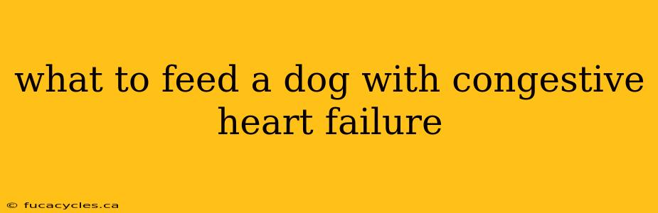 what to feed a dog with congestive heart failure