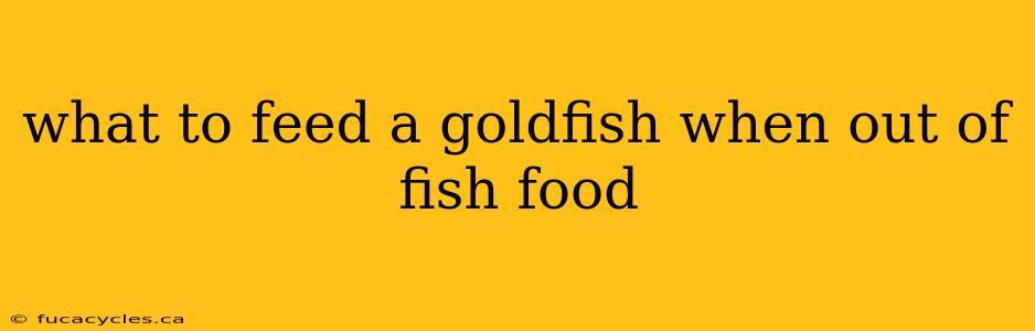 what to feed a goldfish when out of fish food