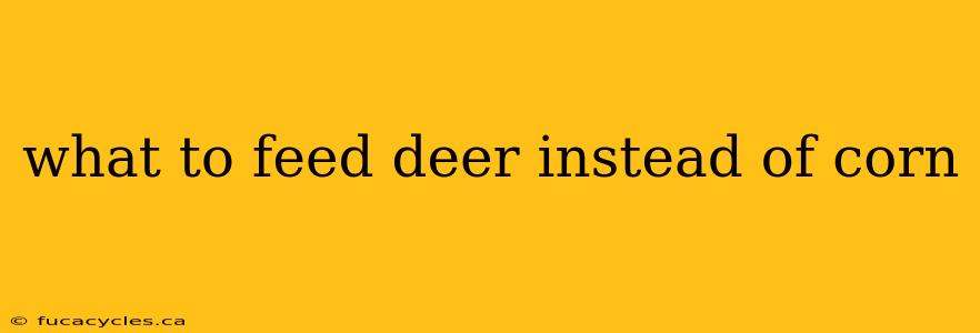 what to feed deer instead of corn