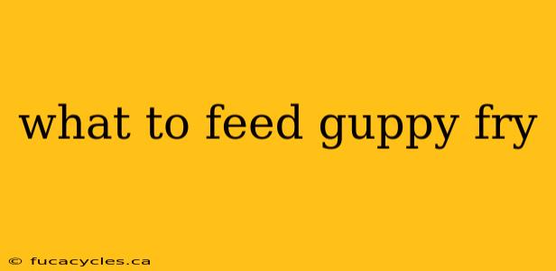 what to feed guppy fry