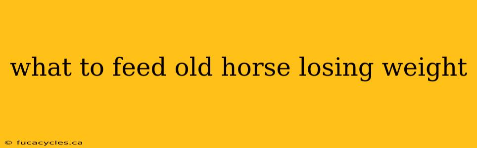 what to feed old horse losing weight