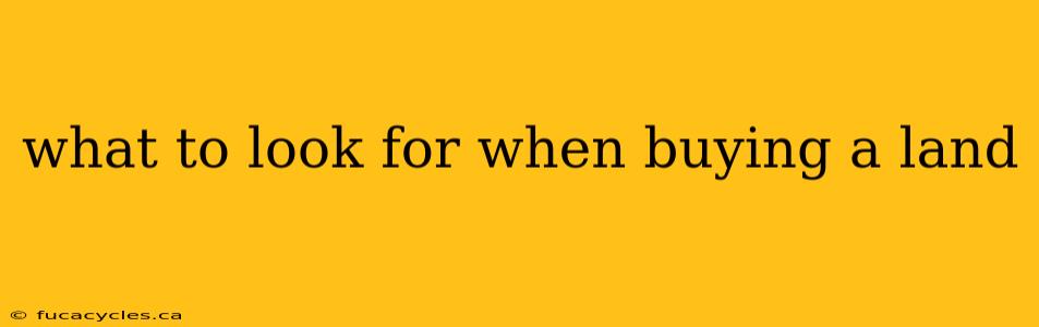 what to look for when buying a land