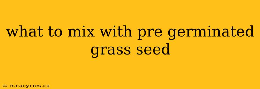 what to mix with pre germinated grass seed