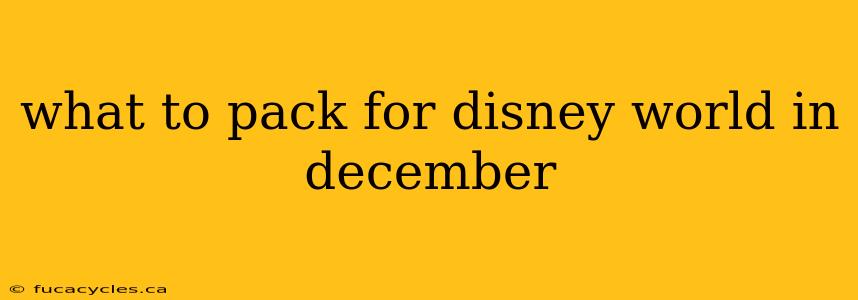 what to pack for disney world in december