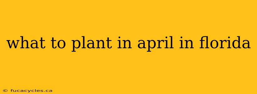 what to plant in april in florida