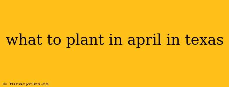 what to plant in april in texas