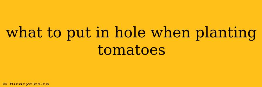 what to put in hole when planting tomatoes