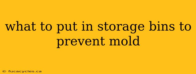 what to put in storage bins to prevent mold