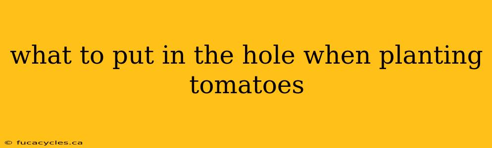 what to put in the hole when planting tomatoes