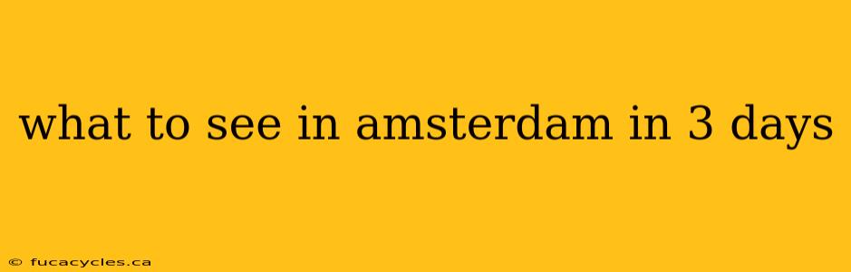 what to see in amsterdam in 3 days