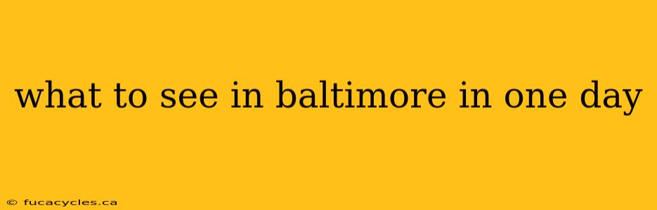 what to see in baltimore in one day