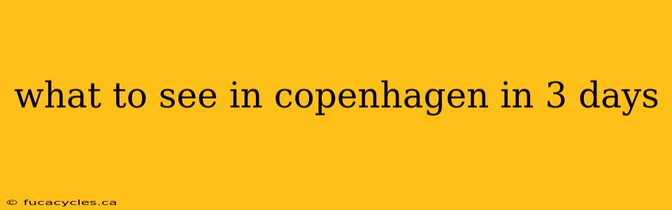 what to see in copenhagen in 3 days