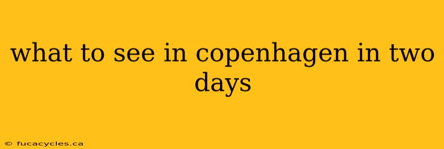 what to see in copenhagen in two days