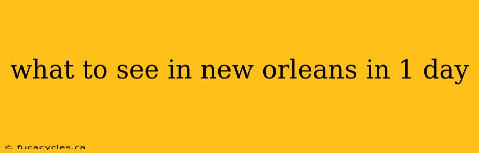 what to see in new orleans in 1 day