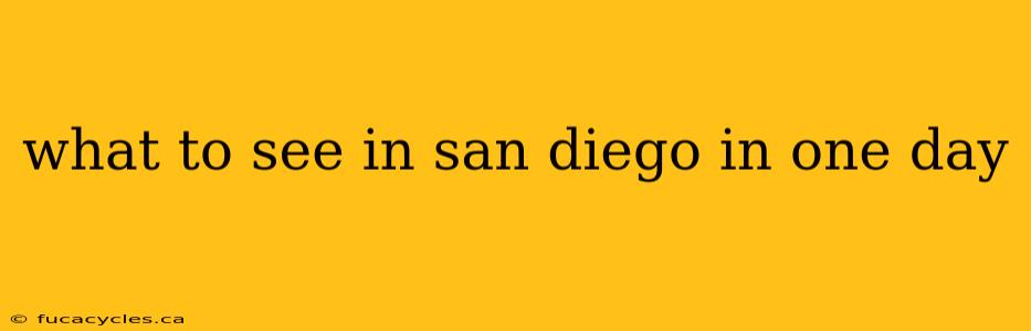 what to see in san diego in one day