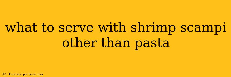 what to serve with shrimp scampi other than pasta