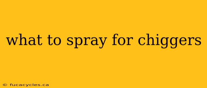 what to spray for chiggers