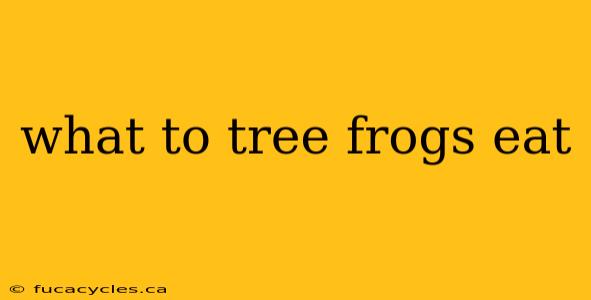 what to tree frogs eat